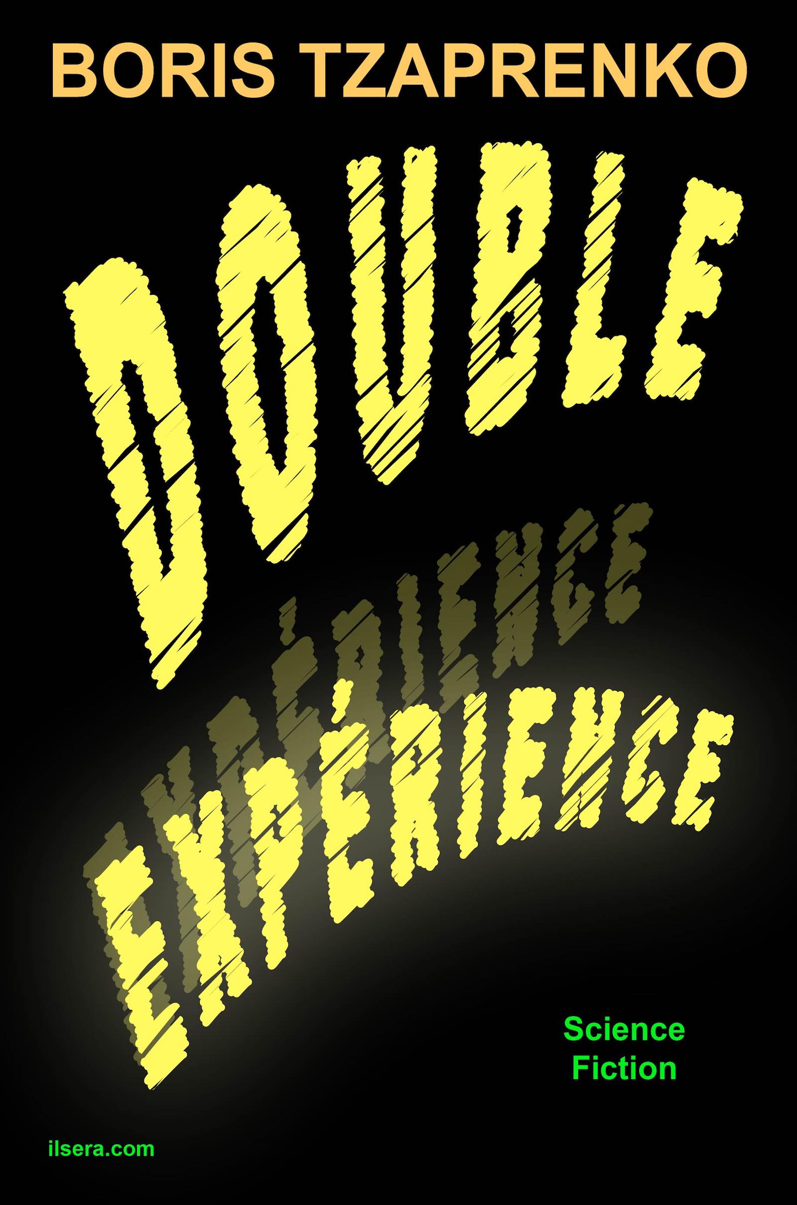 Couverture Double experience